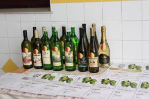 Dan odprte kleti in razglasitev protokolarnega vina 5